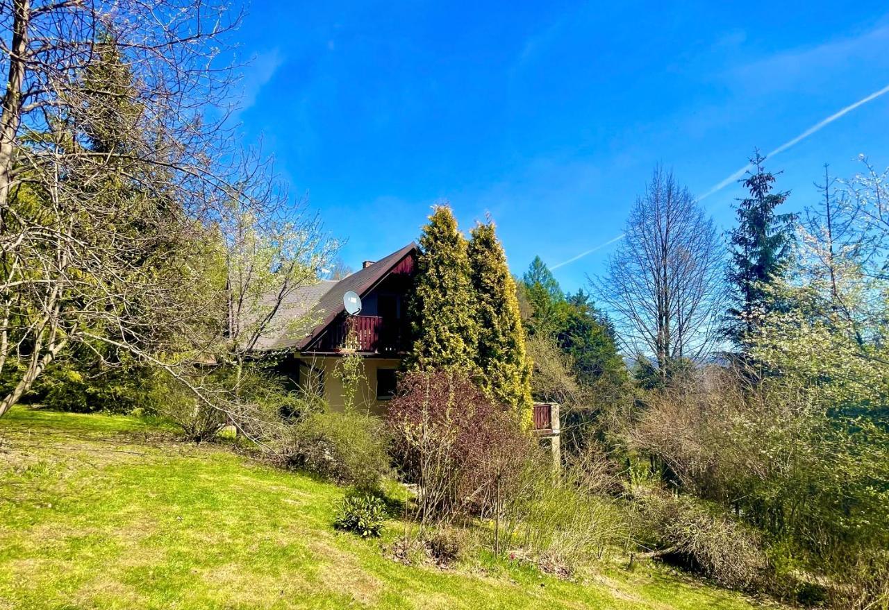 Dom Na Jezynowym Wzgorzu - Blackberry Hill Cottage Radziechowy Екстериор снимка